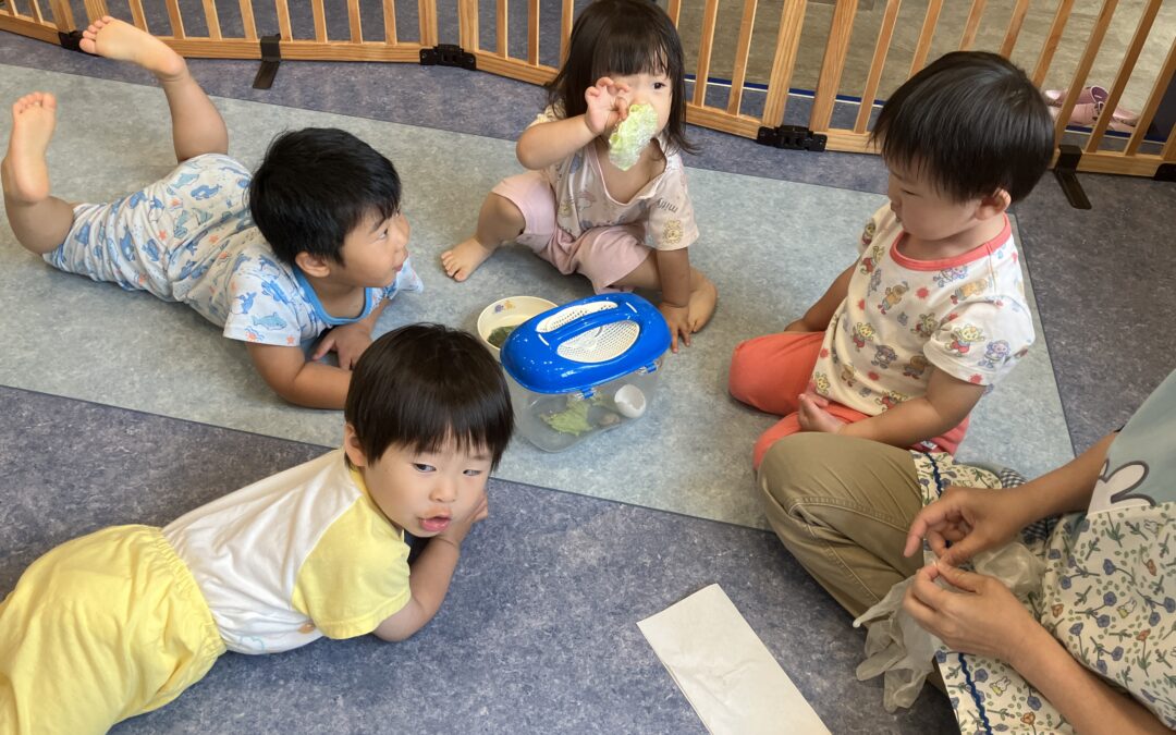 5月26日（月）